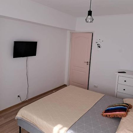 Apartament Titulescu/Banu Manta Daire Bükreş Dış mekan fotoğraf