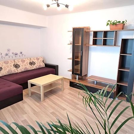 Apartament Titulescu/Banu Manta Daire Bükreş Dış mekan fotoğraf