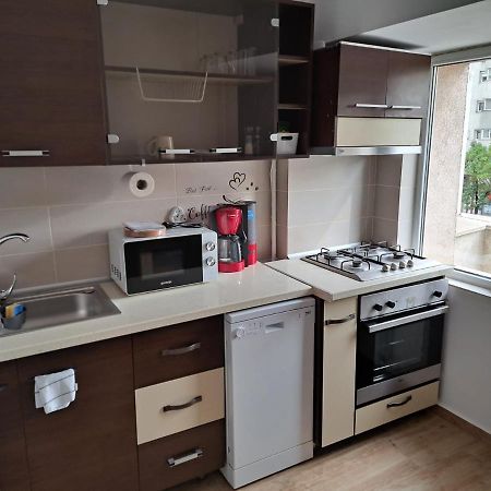 Apartament Titulescu/Banu Manta Daire Bükreş Dış mekan fotoğraf