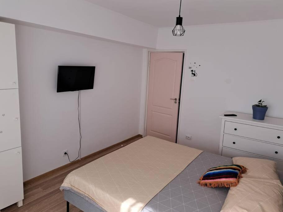 Apartament Titulescu/Banu Manta Daire Bükreş Dış mekan fotoğraf