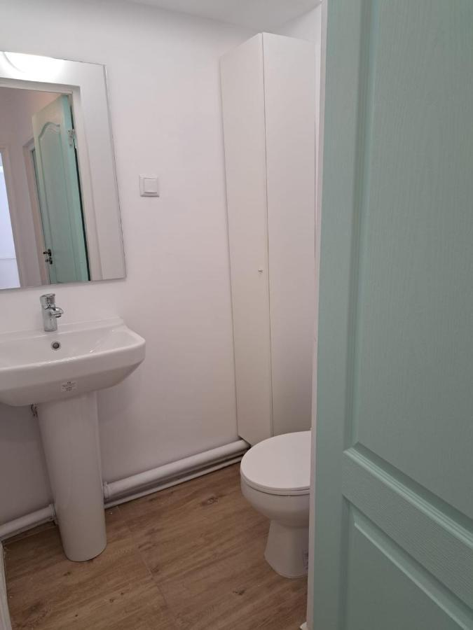 Apartament Titulescu/Banu Manta Daire Bükreş Dış mekan fotoğraf